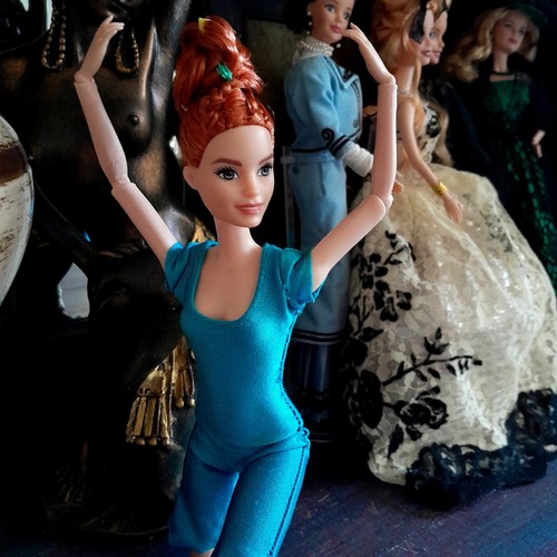 Barbie wellness fitness - wellness,