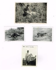 INDOCHINE ANNEES 40/50 (CHASSES)