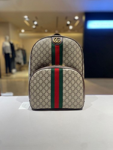 Gucci ophidia supreme - gucci,