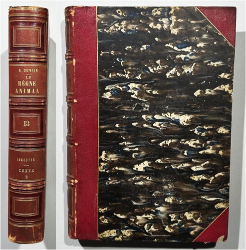Georges cuvier le regne - georges,