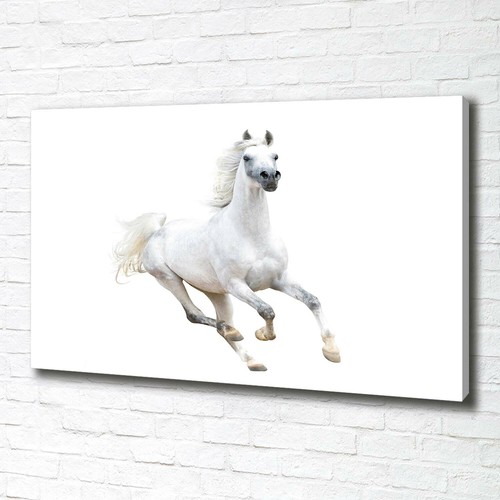 Tulup image sur - tulup, tableau