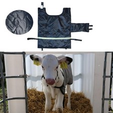 Vêtements chauds pour