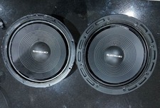 Pioneer Ts-w300