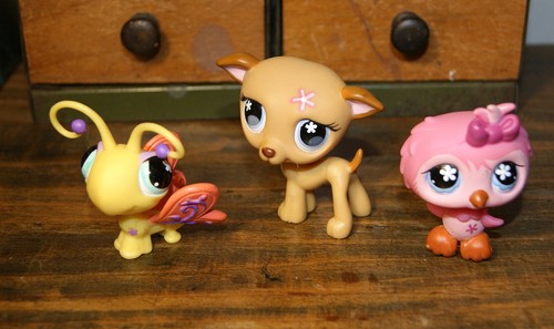 Petshop trio papillon - petshop,