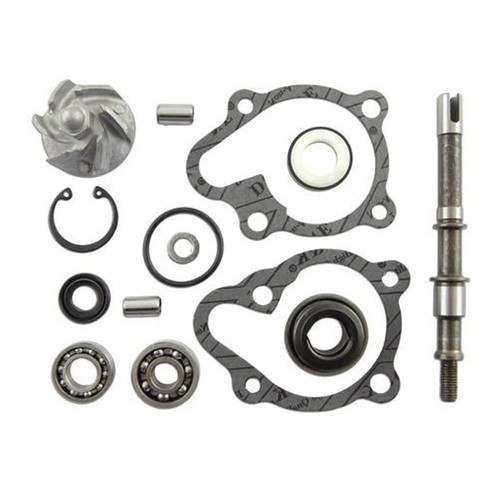 Aa00815 kit révision pompe - kit,
