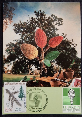 Carte commémorative jardin - commémorative,