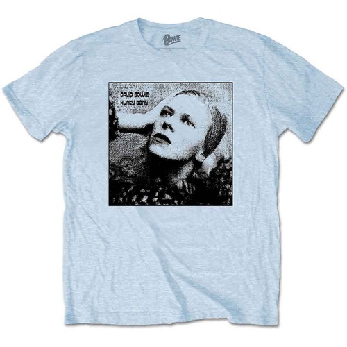 David bowie hunky dory - david, mono