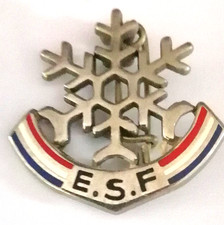 FLOCON Brevet Enfant Ski Alpin