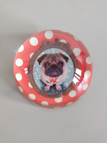 Presse papier verre bouledogue - presse,
