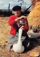 CPM en Gascogne la gaveuse d'oie (280438)