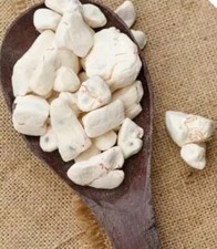 graines de baobab seché