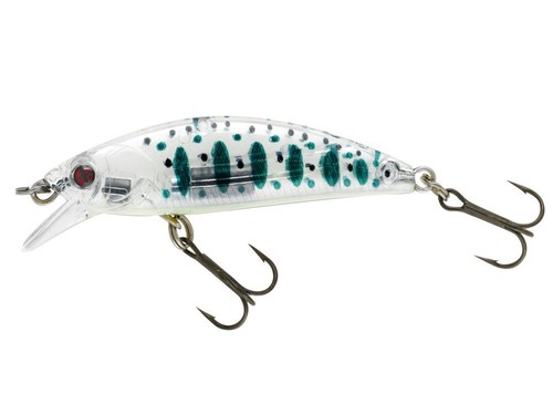 Sakura phoxy minnow 50s - phoxy, hw