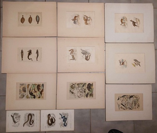 Lot gravures originales - gravures,