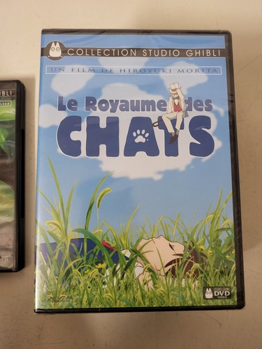 Royaume des chats - -, studio