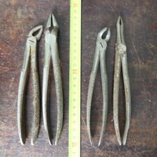 Lot de 4 extracteurs de dent DENTISTE VETERINAIRE vintage outil 4