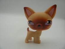 Hasbro Littlest PetShop PET