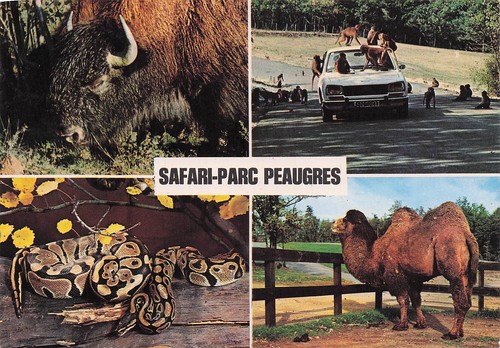 Peaugres safari parc haut - 7,