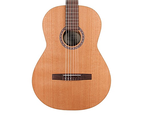 Godin concert nylon - nylon, string