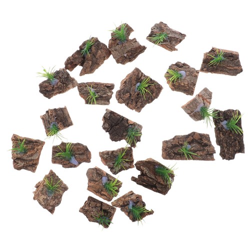 Pcs fond terrarium en - pcs,