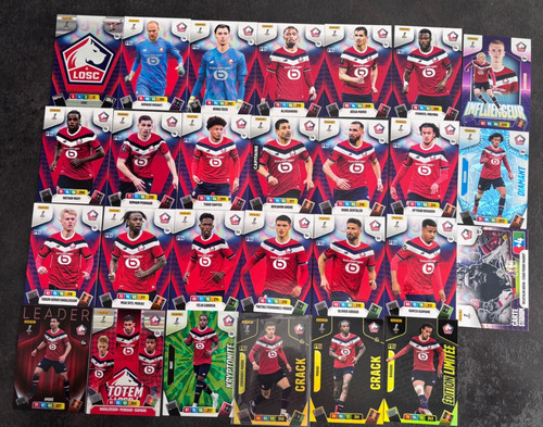 Panini adrenalyn ligue 1 - xl,