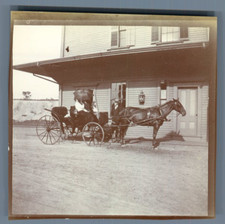 USA, Group in a horse drawn