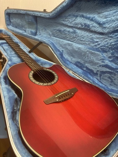 Electric acoustic guitar - electric,