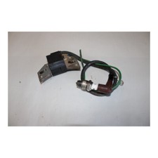 BOBINE ALLUMAGE MOTEUR LOMBARDINI IM 350 - MOTEUR LOMBARDINI IM 350 (6)