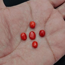 Cabochon corail rouge