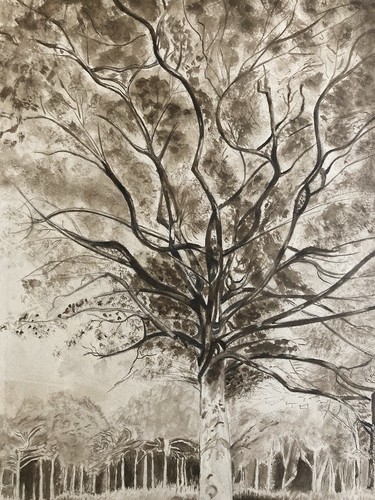 Très beau dessin encre lavis - dessin,