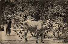 CPA AK LA CHARETTE A BOEUFS ANNAMITE VIETNAM INDOCHINA (1481308)
