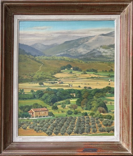 Landscape mountain trees - trees, field