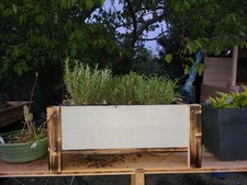 jardin des plantes,plantes