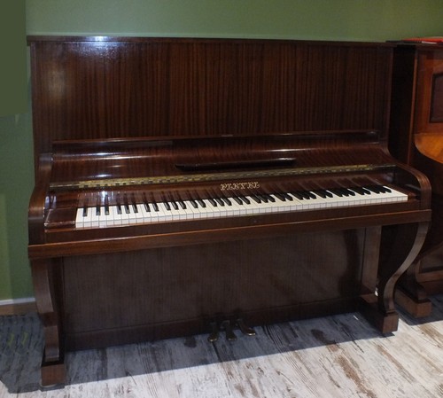 Grand piano pleyel - grand,
