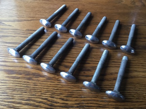 Bumper bolts oval stainless - bolts,