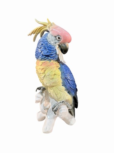 Grand cacatoès porcelaine - cacatoès,