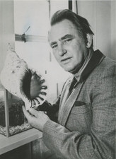 Coquilles d'ormeau Vintage silver print Tirage argentique  13x18  Cir