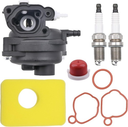 Carburateur pour briggs - pour,