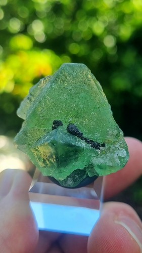 Fluorite pyrite milpo mine - &,