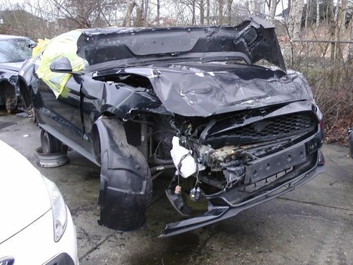 Ford usa mustang arbre - ford,