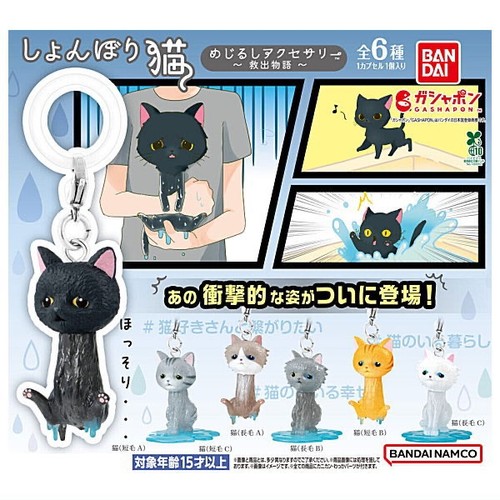Accessoire signe chat - , triste
