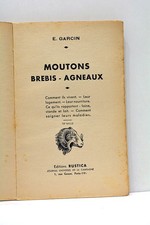 Garcin moutons brebis - garcin,