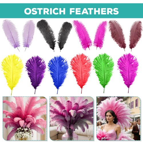 Grandes plumes autruche pour - grandes, d'autruche