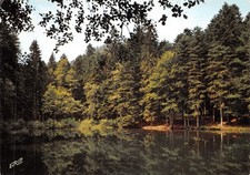 67-SALM LES QUELLES-N�3899-A/0027