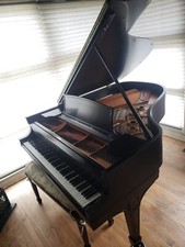 Steinway grand piano 10 - grand,