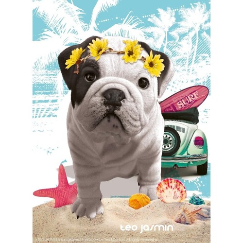 Nathan puzzle 500 - -,