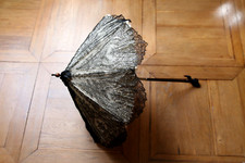 Ombrelle XIXème manche pliant