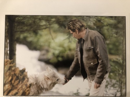 Rare photo johnny hallyday - photo, (2)