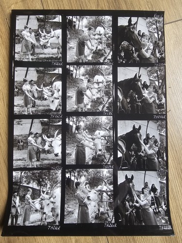 Planche contact originale - planche,