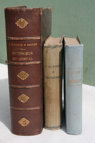 Lot livres anciens - livres,