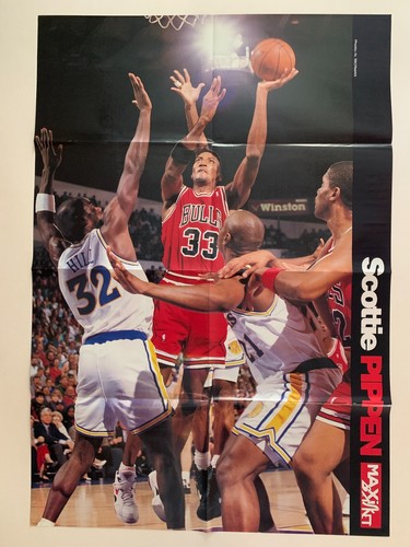 Poster maxi basket scottie - maxi,